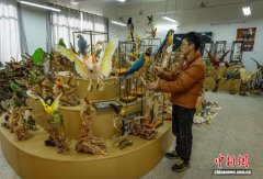 探访四川达州动物标本制作技艺：定格生命之美